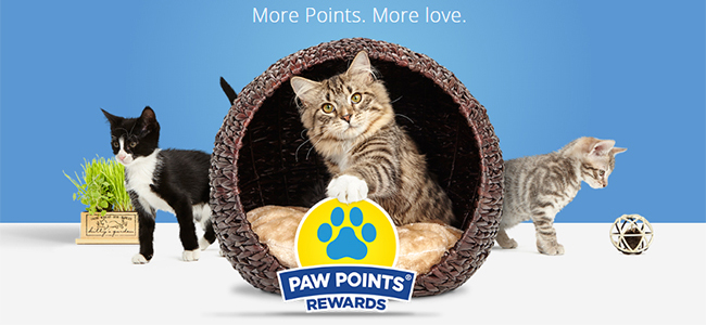 www fresh step com paw points